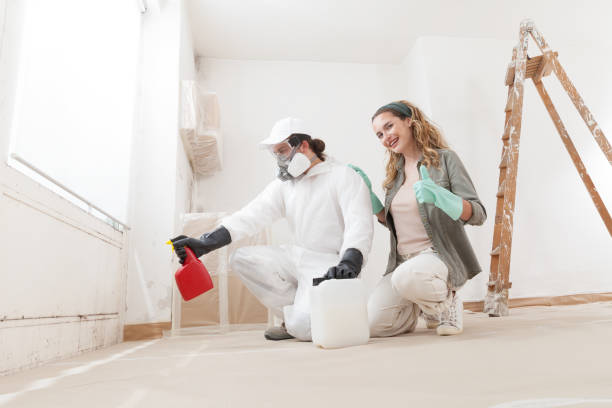 Best Black Mold Removal  in San Mateo, CA
